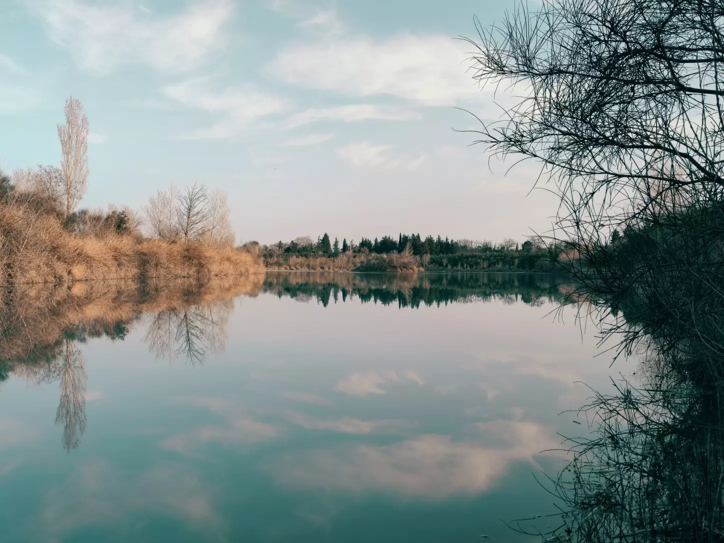 Une fin d'hiver au bord de notre étang de l'Aygues