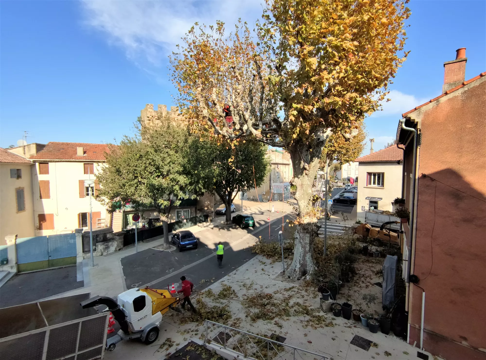 L'hiver approchant rapidement, c'est la meilleure période pour élaguer nos platanes !