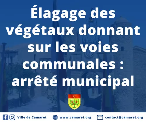 Élagage des végétaux donnant sur les voies communales : arrêté municipal