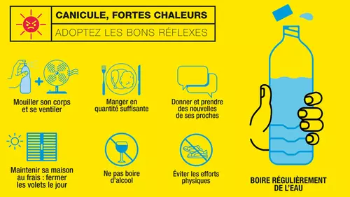 Vague de chaleur / canicule : adoptez les bons réflexes !