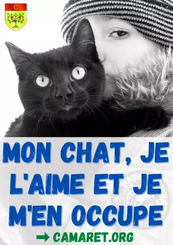 « MON CHAT, JE L'AIME ET JE M'EN OCCUPE »